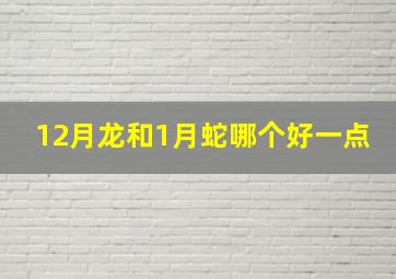 12月龙和1月蛇哪个好一点