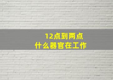 12点到两点什么器官在工作