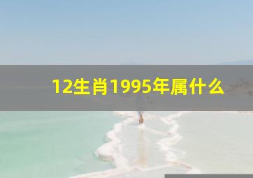 12生肖1995年属什么