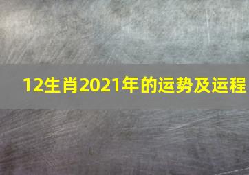 12生肖2021年的运势及运程