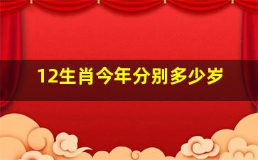 12生肖今年分别多少岁