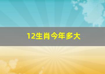 12生肖今年多大