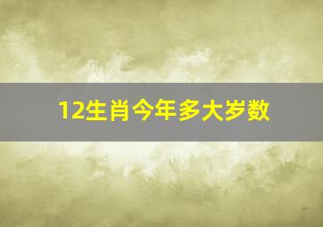 12生肖今年多大岁数