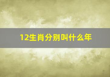 12生肖分别叫什么年