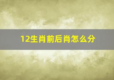 12生肖前后肖怎么分