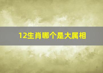 12生肖哪个是大属相