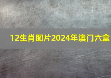 12生肖图片2024年澳门六盒