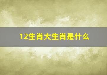 12生肖大生肖是什么