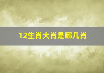 12生肖大肖是哪几肖