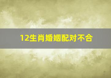 12生肖婚姻配对不合