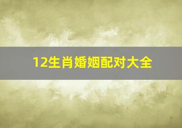 12生肖婚姻配对大全