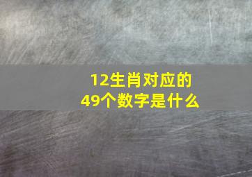 12生肖对应的49个数字是什么