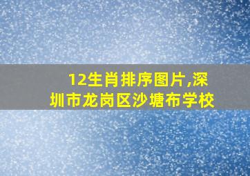 12生肖排序图片,深圳市龙岗区沙塘布学校