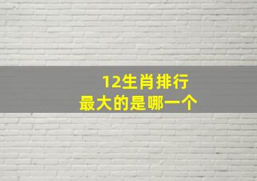 12生肖排行最大的是哪一个