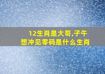 12生肖是大哥,子午想冲见零码是什么生肖