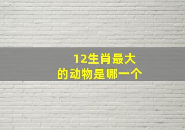 12生肖最大的动物是哪一个