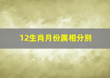 12生肖月份属相分别