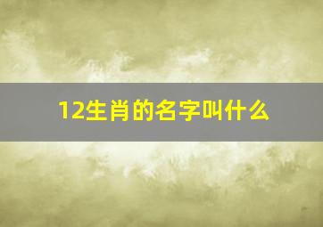 12生肖的名字叫什么