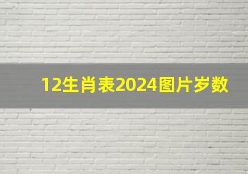 12生肖表2024图片岁数