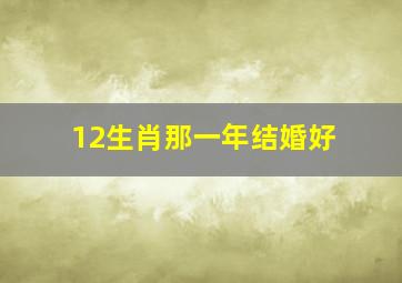 12生肖那一年结婚好