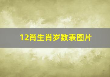 12肖生肖岁数表图片