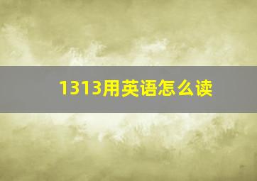 1313用英语怎么读