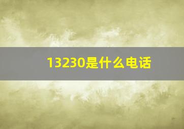 13230是什么电话