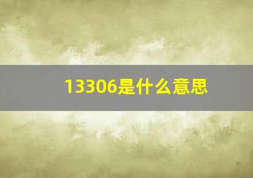 13306是什么意思