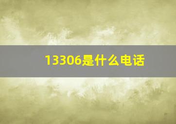 13306是什么电话