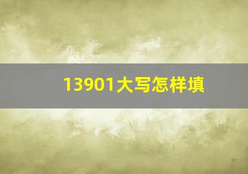 13901大写怎样填