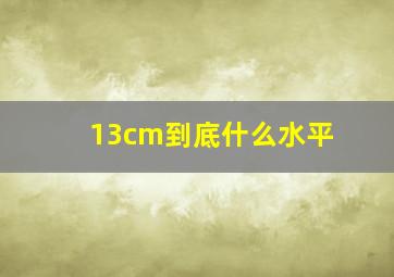 13cm到底什么水平