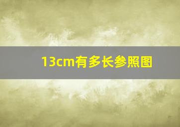 13cm有多长参照图