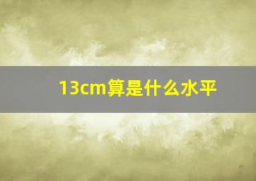 13cm算是什么水平