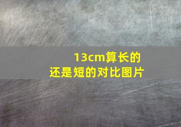 13cm算长的还是短的对比图片