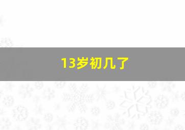 13岁初几了