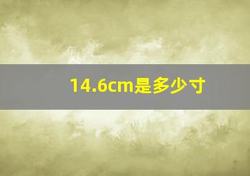 14.6cm是多少寸