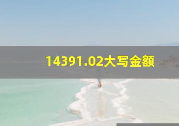 14391.02大写金额