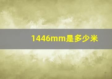 1446mm是多少米