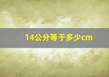 14公分等于多少cm