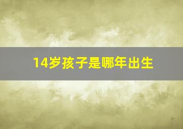 14岁孩子是哪年出生