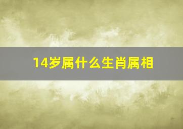 14岁属什么生肖属相