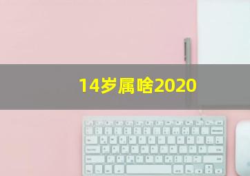 14岁属啥2020