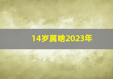 14岁属啥2023年