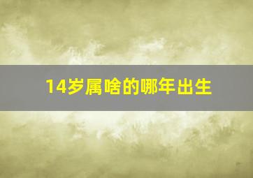 14岁属啥的哪年出生