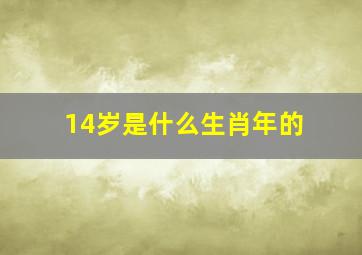 14岁是什么生肖年的