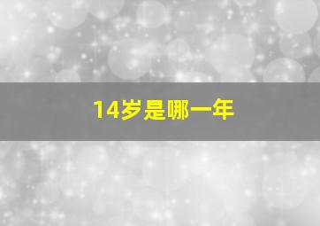 14岁是哪一年