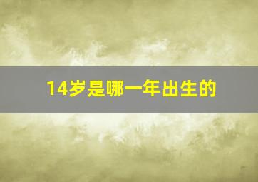 14岁是哪一年出生的