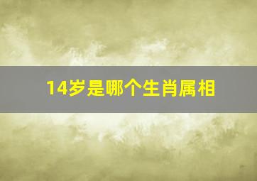 14岁是哪个生肖属相