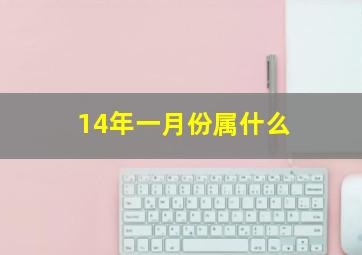 14年一月份属什么