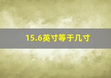 15.6英寸等于几寸